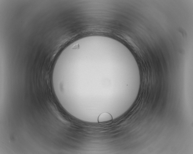 X0000112170500200908071002