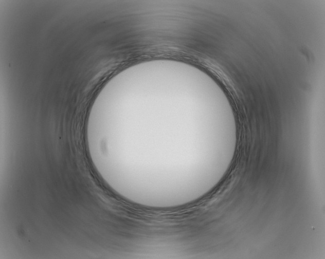 X0000112170501200908071002
