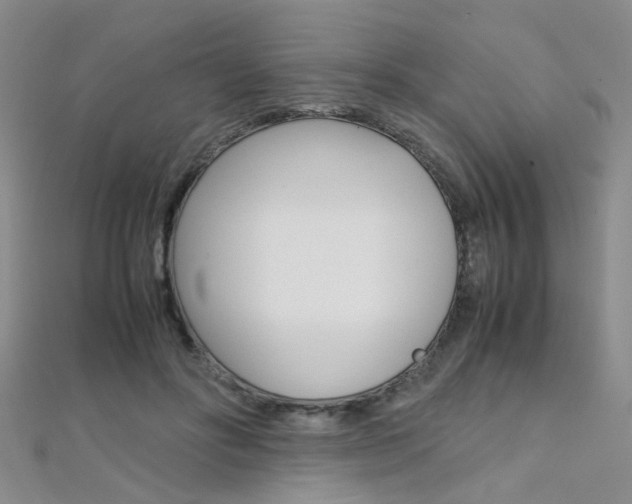 X0000112170502200908071002