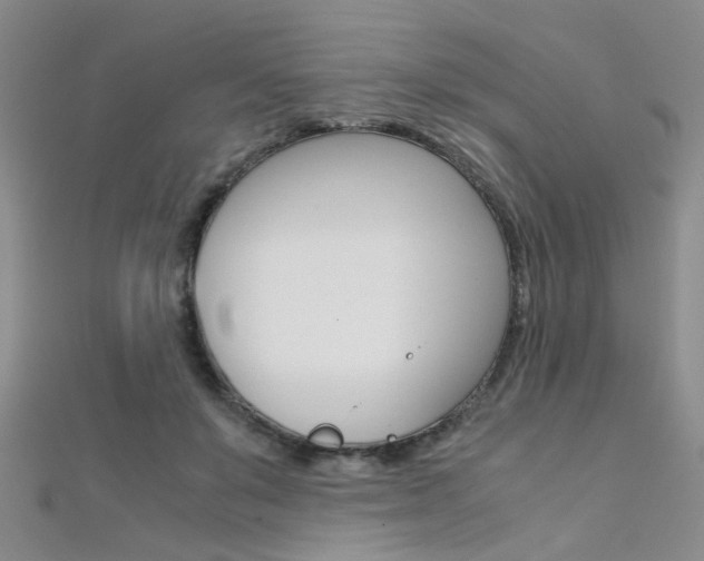 X0000112170503200908071002