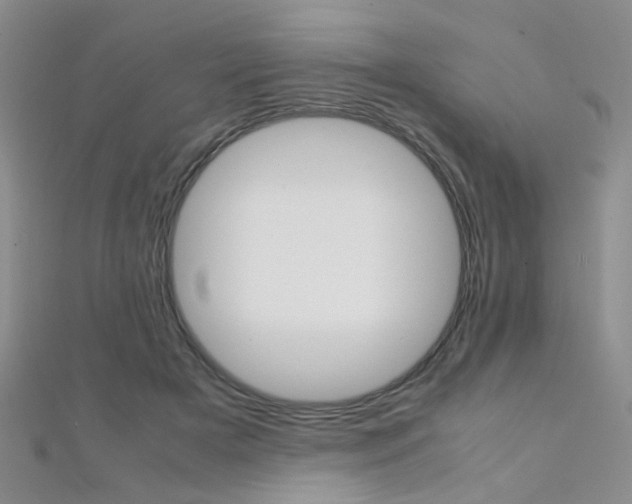 X0000112170505200908071002