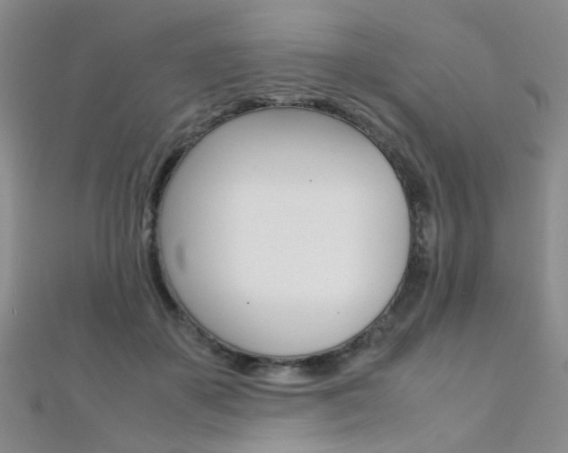 X0000112170507200908071002