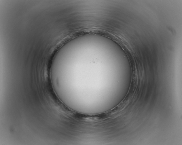 X0000112170508200908071002