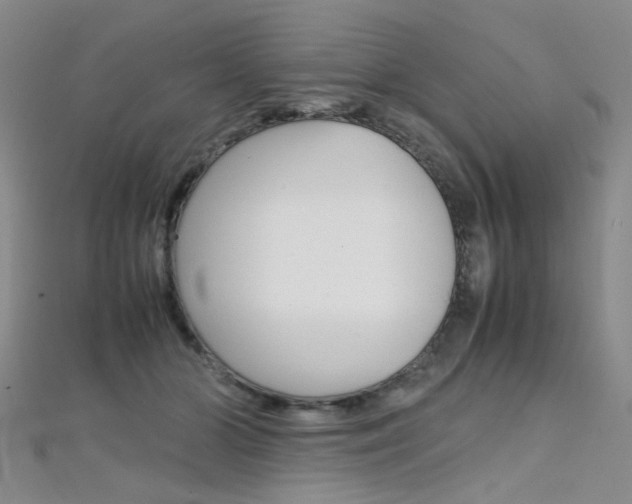 X0000112170510200908071002