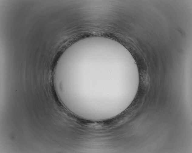 X0000112170511200908071002