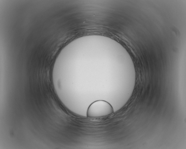 X0000112170512200908071002