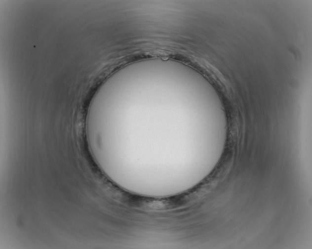 X0000112170513200908071002