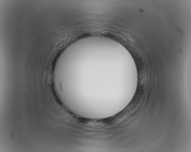 X0000112170515200908071002