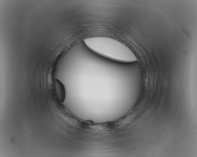X0000112170516200908071002