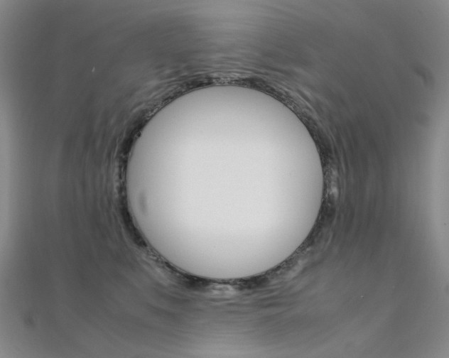 X0000112170519200908071002