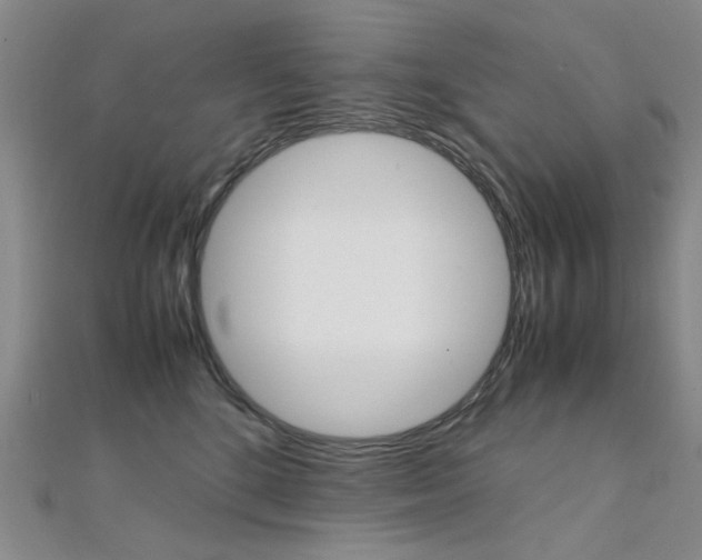 X0000112170520200908071002