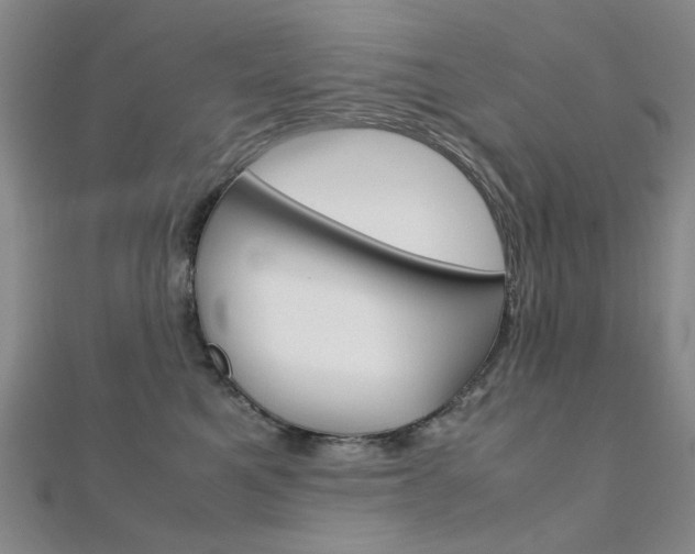 X0000112170521200908071002