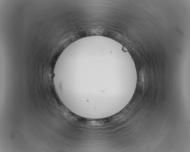X0000112170522200908071002