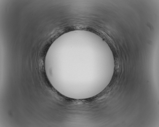 X0000112170523200908071002