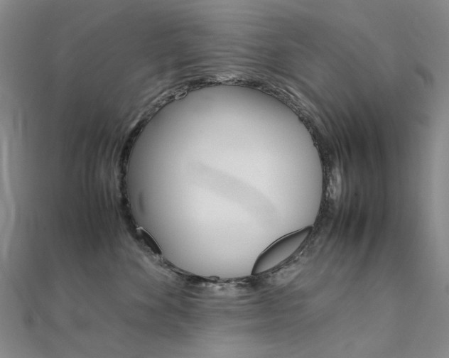 X0000112170524200908071002