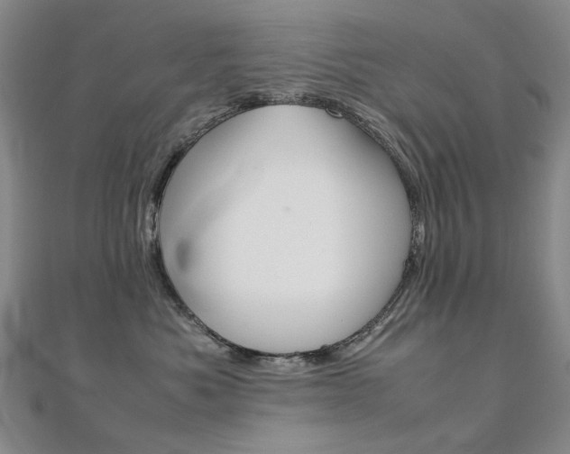 X0000112170525200908071002