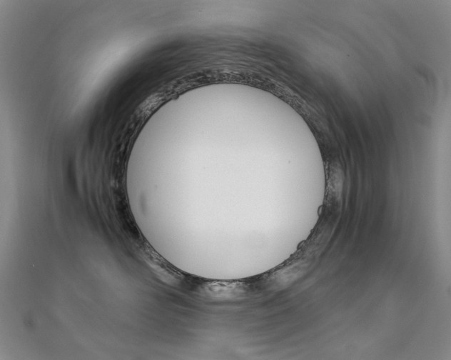X0000112170526200908071002