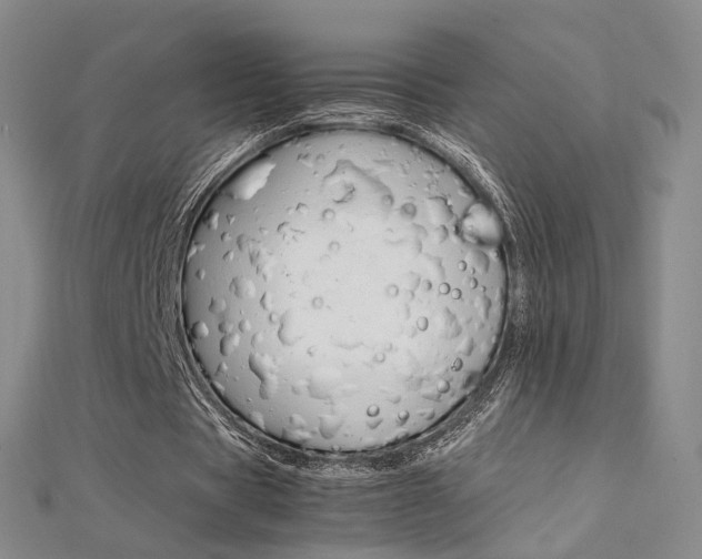 X0000112170529200908071001