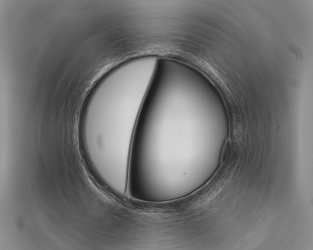 X0000112170530200908071001