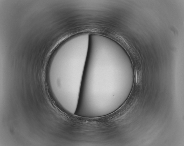 X0000112170531200908071001
