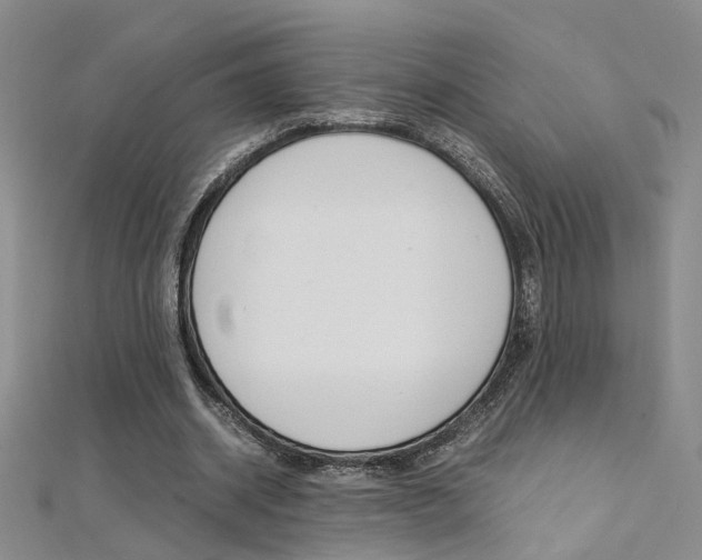 X0000112170534200908071001