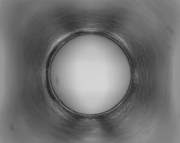 X0000112170535200908071001