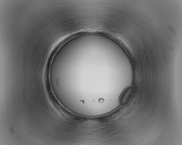 X0000112170536200908071001