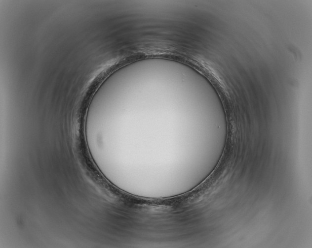 X0000112170539200908071001