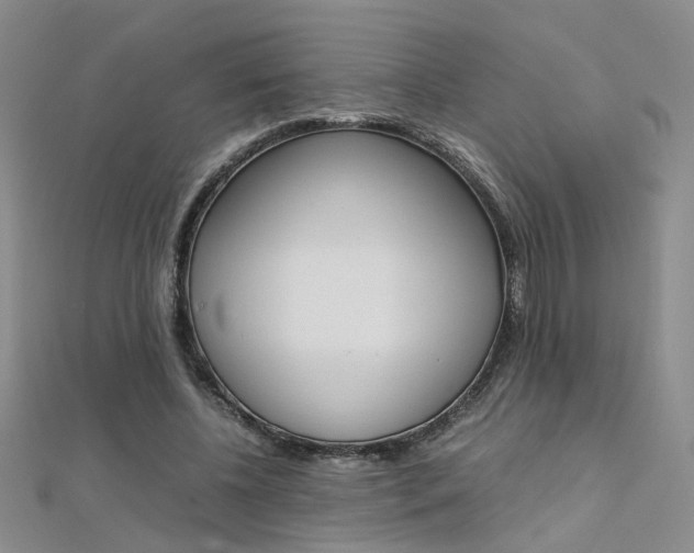 X0000112170540200908071001