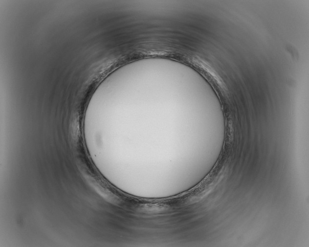 X0000112170541200908071001