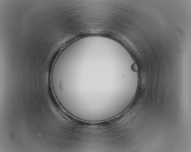 X0000112170542200908071001