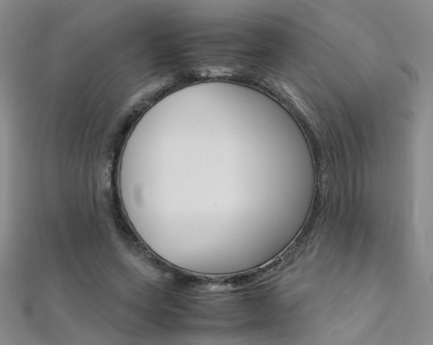 X0000112170543200908071001