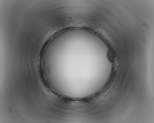 X0000112170544200908071001