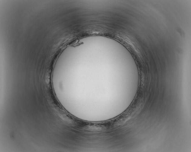 X0000112170545200908071001