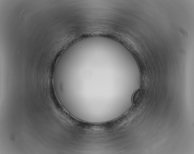 X0000112170546200908071001
