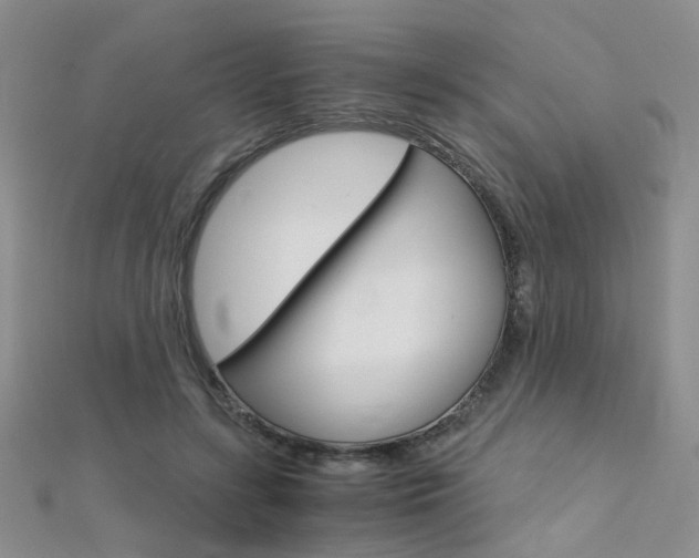 X0000112170547200908071001