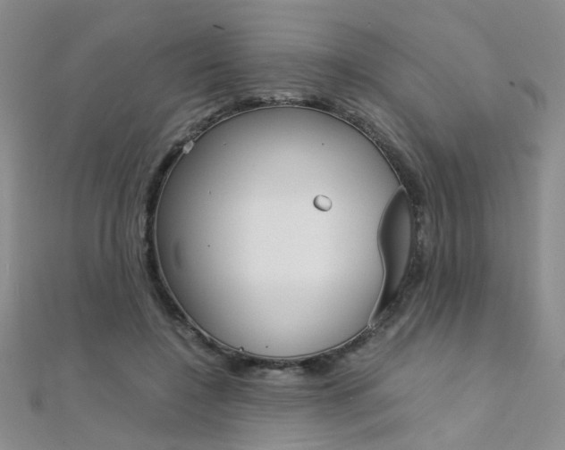 X0000112170548200908071001