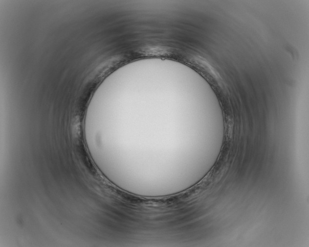 X0000112170549200908071001