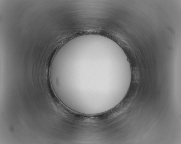 X0000112170550200908071001