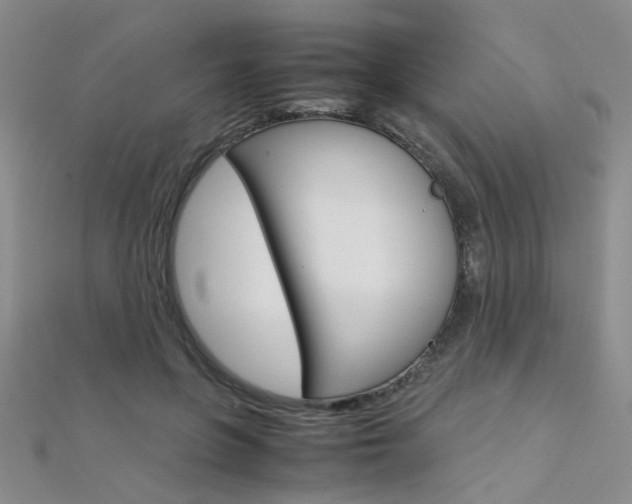 X0000112170551200908071001