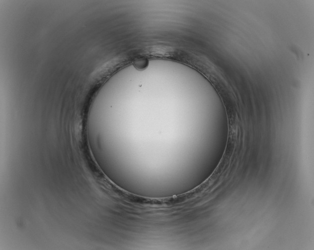 X0000112170552200908071001