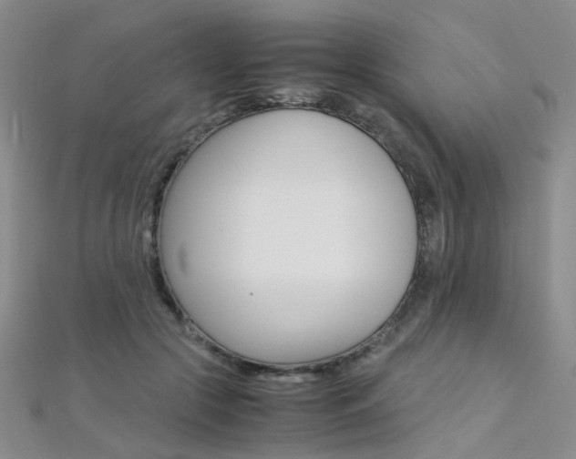 X0000112170553200908071001