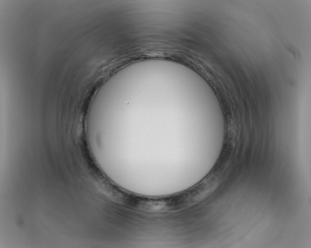X0000112170554200908071001