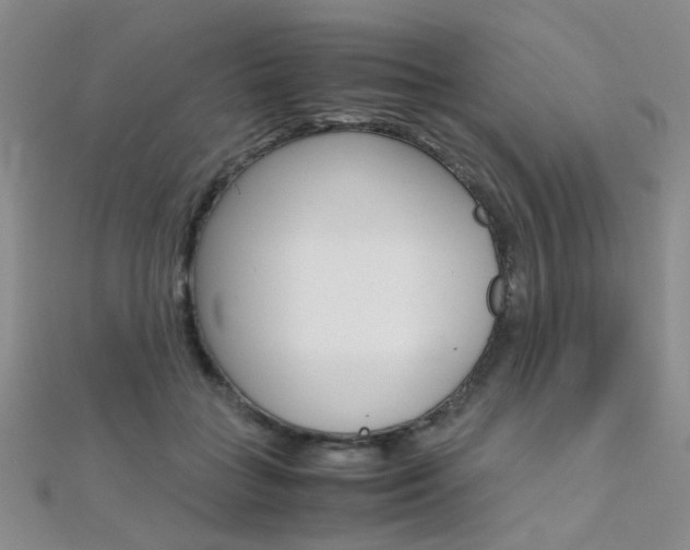 X0000112170555200908071001