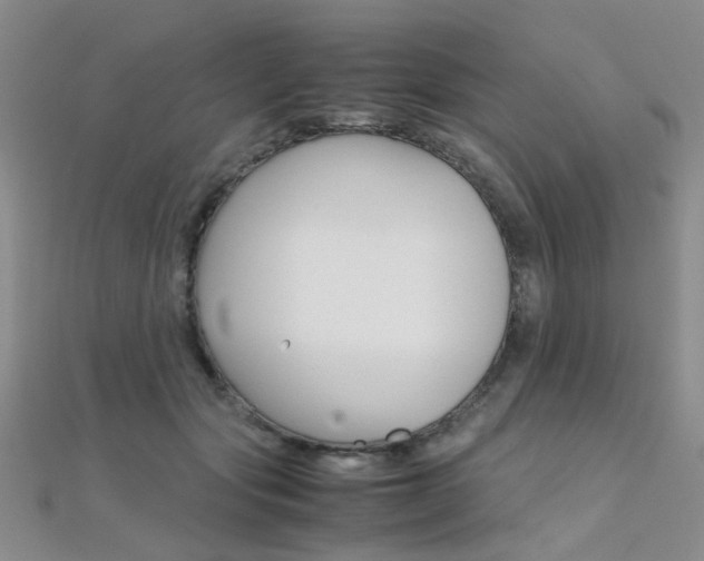 X0000112170557200908071001
