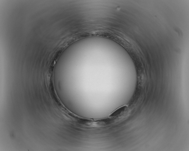 X0000112170558200908071002