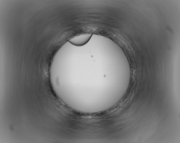 X0000112170561200908071002
