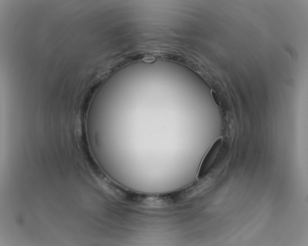 X0000112170562200908071002