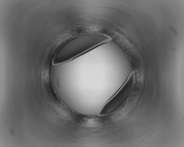 X0000112170564200908071002