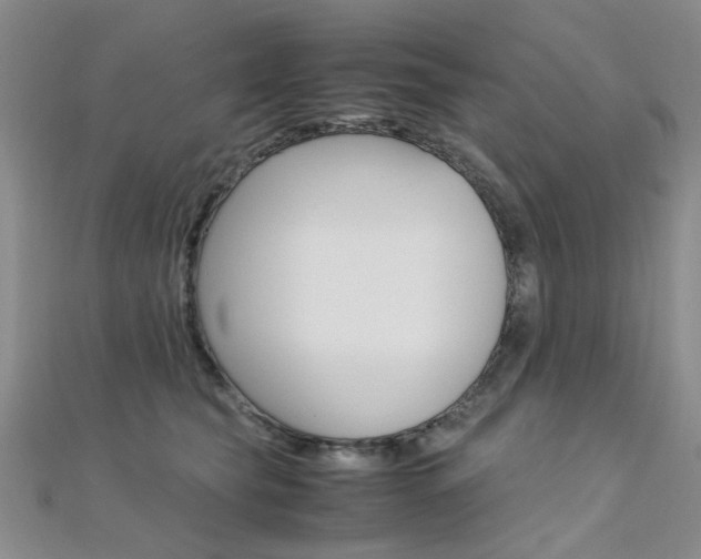 X0000112170565200908071002